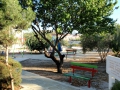 Πάρκο Γεωργίας Κυριακίδου