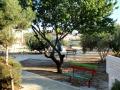 Πάρκο Γεωργίας Κυριακίδου