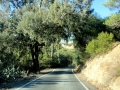 Βλάστηση στο χωριό